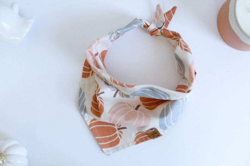 Boho Pumpkin | Dog Bandana
