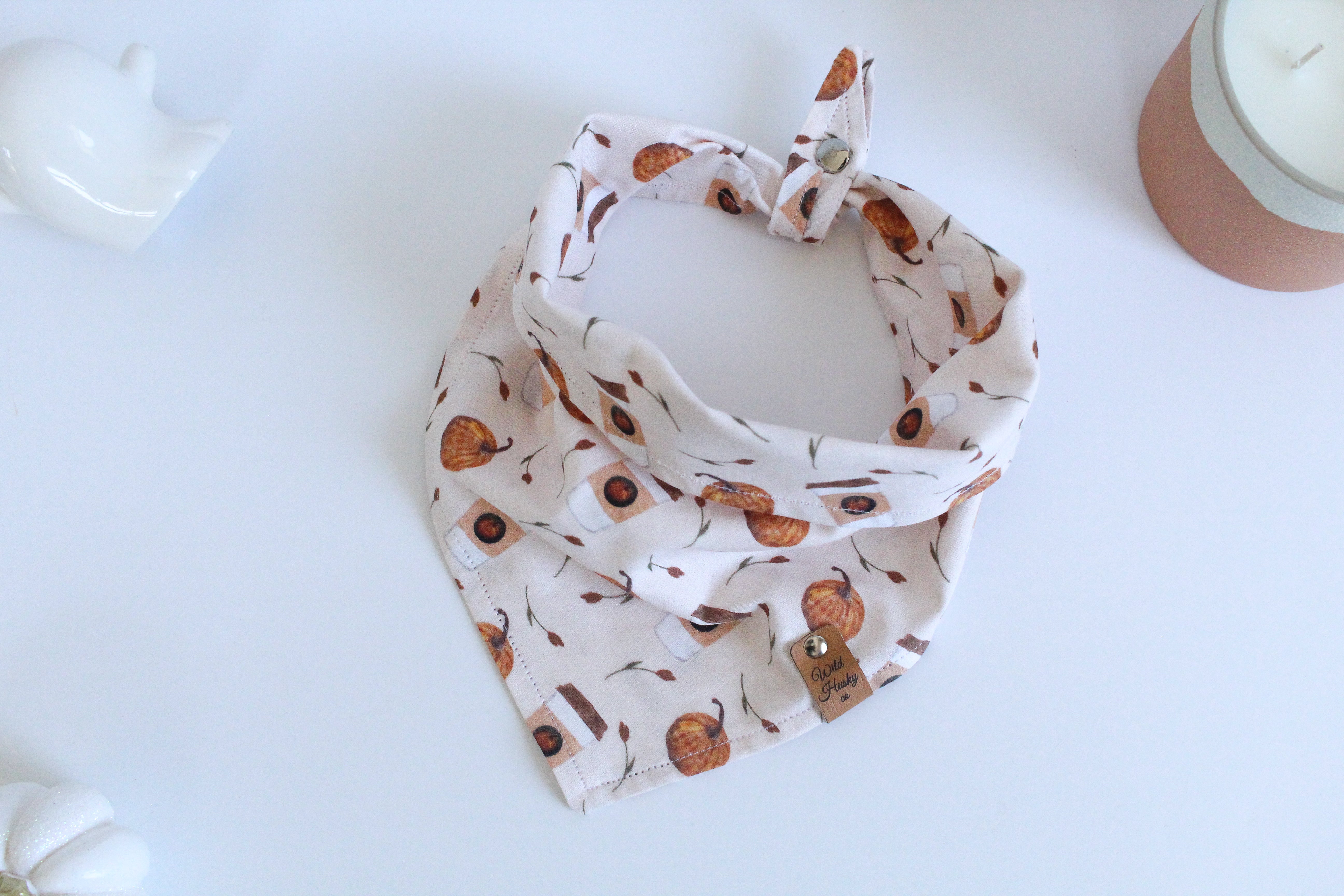 Pumpkin Latte Dog Bandana
