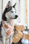 Boho Pumpkin | Dog Bandana