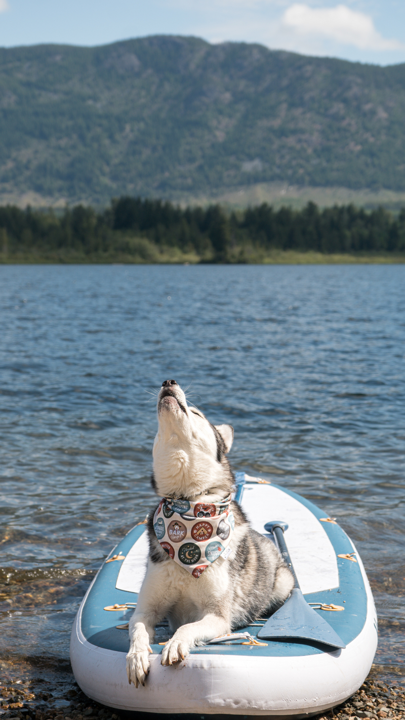 Camp badge & Olive | Cooling & Swim Dog Bandana