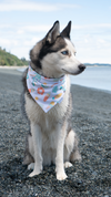 Summer Fun & Stripes | Cooling & Swim Dog Bandana 