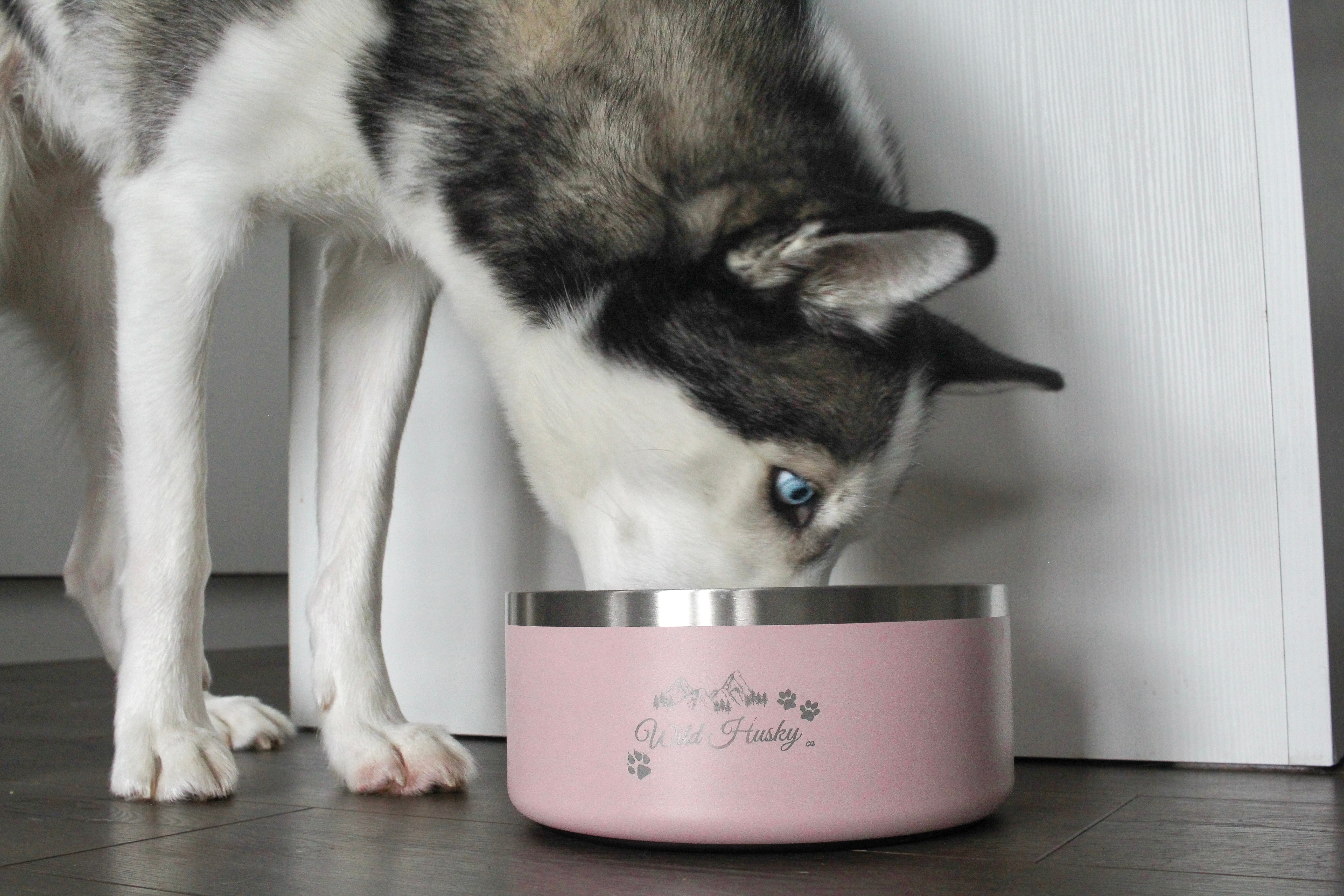 Husky food hot sale bowl